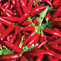 Italian Piccante a Mazzetti Fresh Chilli Bouquet Bunch