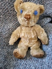 Image 2 of "Francis"  Invicta Bear circa mid 1930s