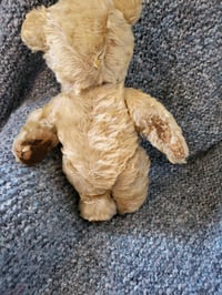 Image 4 of "Francis"  Invicta Bear circa mid 1930s