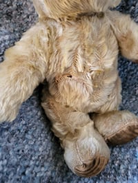 Image 5 of "Francis"  Invicta Bear circa mid 1930s