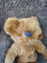Image 6 of "Francis"  Invicta Bear circa mid 1930s