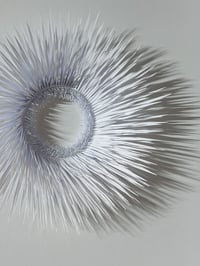 Image 3 of Floresc