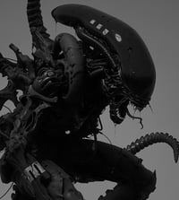 MONOGURUI ghost-suit: (THE VOID OF VICTORY)
