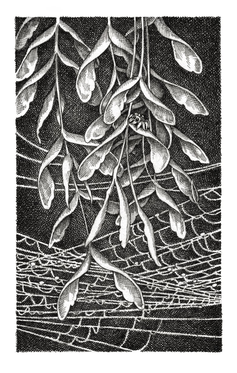 Image of 'Justice' Original Artwork by Adam Oehlers 