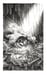 Image of 'Fool' Original Artwork by Adam Oehlers 