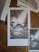 Image of 'Fool' Original Artwork by Adam Oehlers 