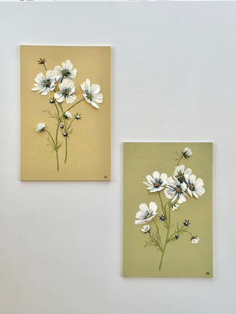 Image of Cosmos On Apple Green 