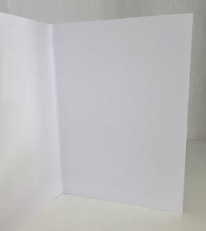 Image of Baby's First Year (Girl)