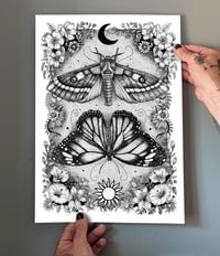NIGHT and DAY