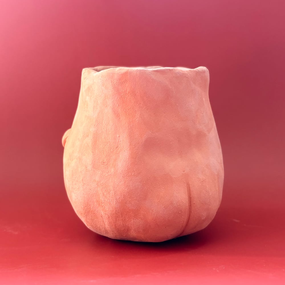 Image of Nobby Willy Pot 