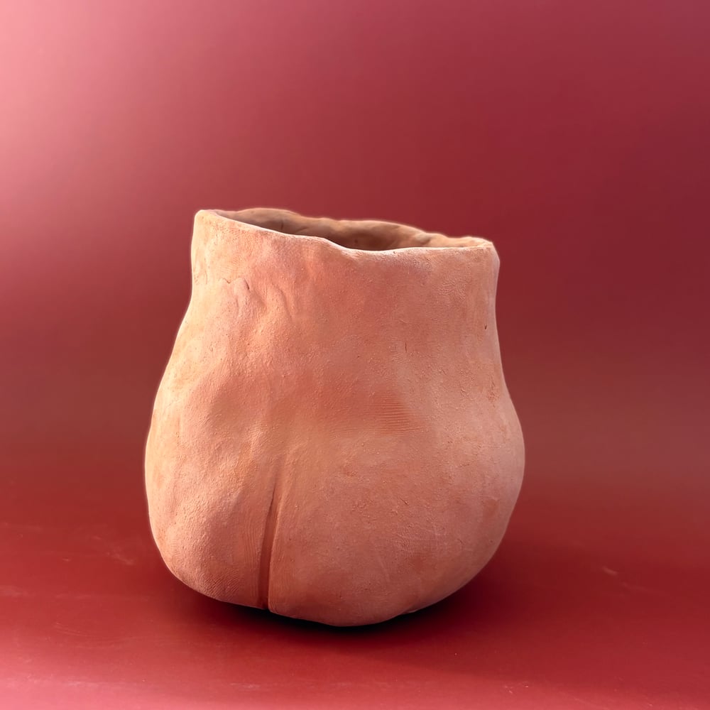 Image of Cyril Willy Pot 