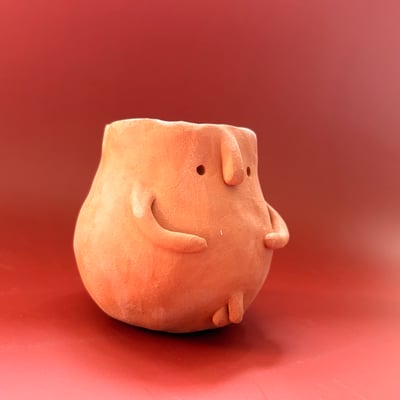Image of Neville Willy Pot 