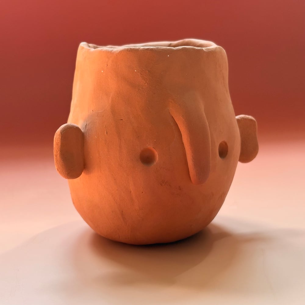 Image of Terracotta face pot