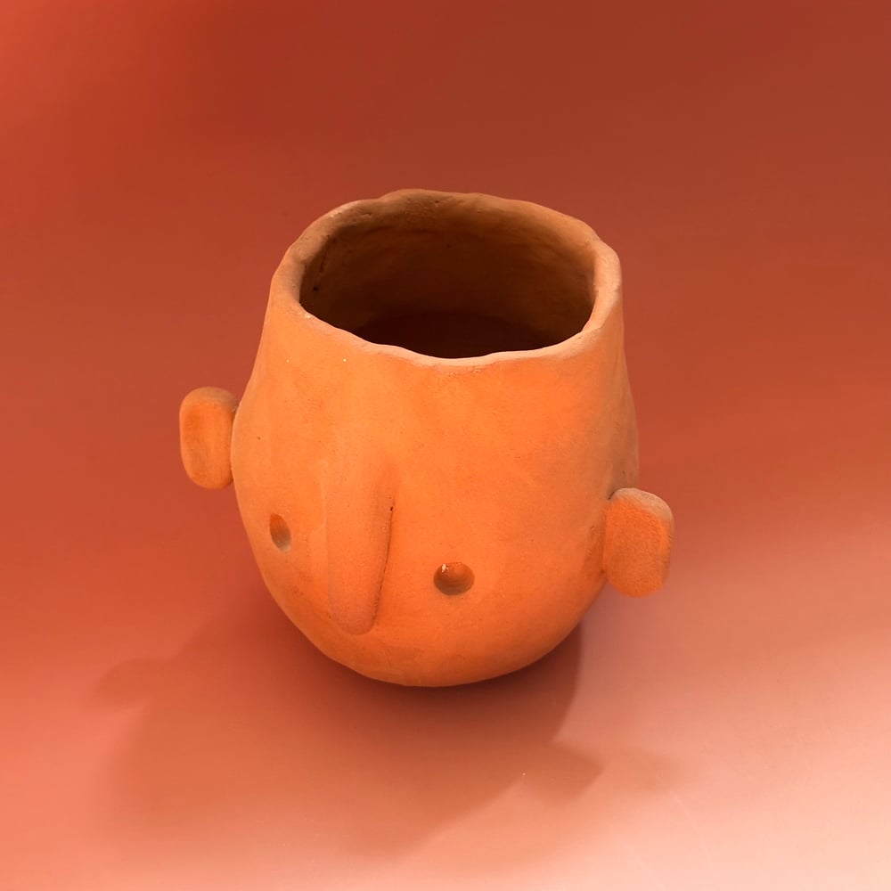 Image of Terracotta face pot