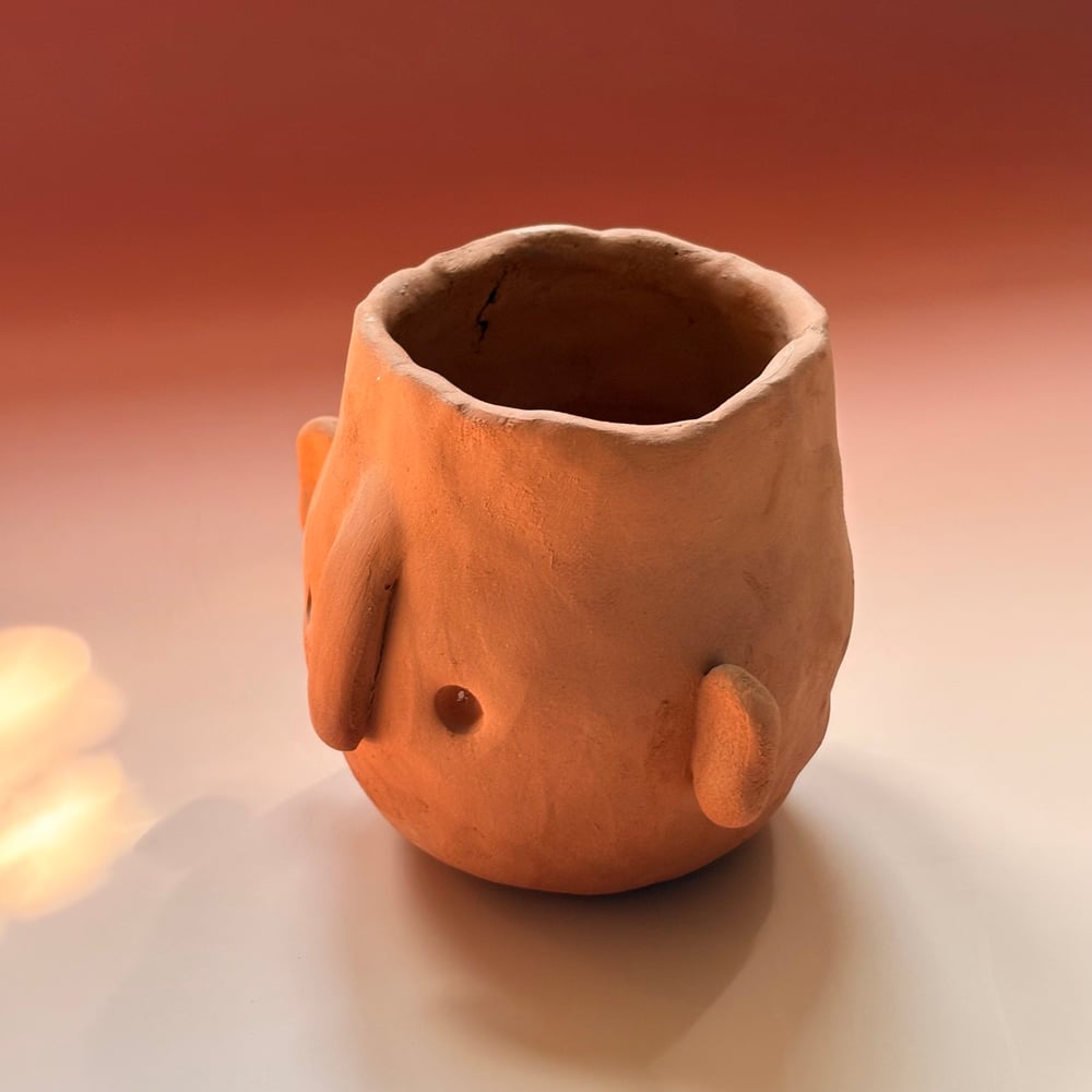 Image of Terracotta face pot