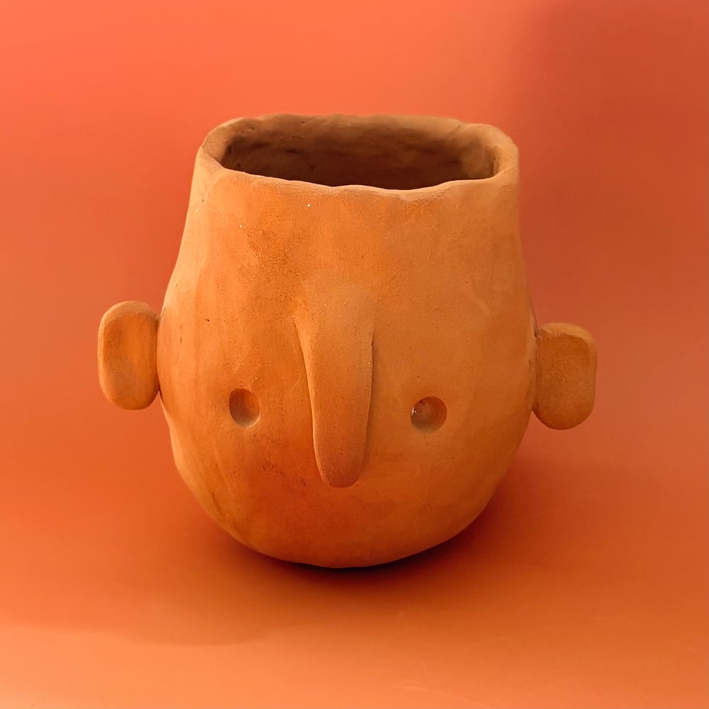 Image of Terracotta face pot
