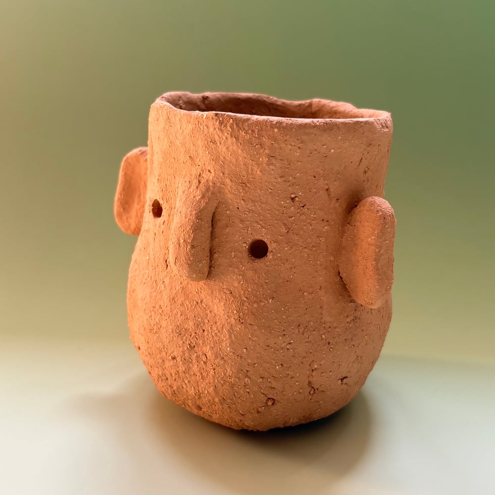 Image of Twin face pots