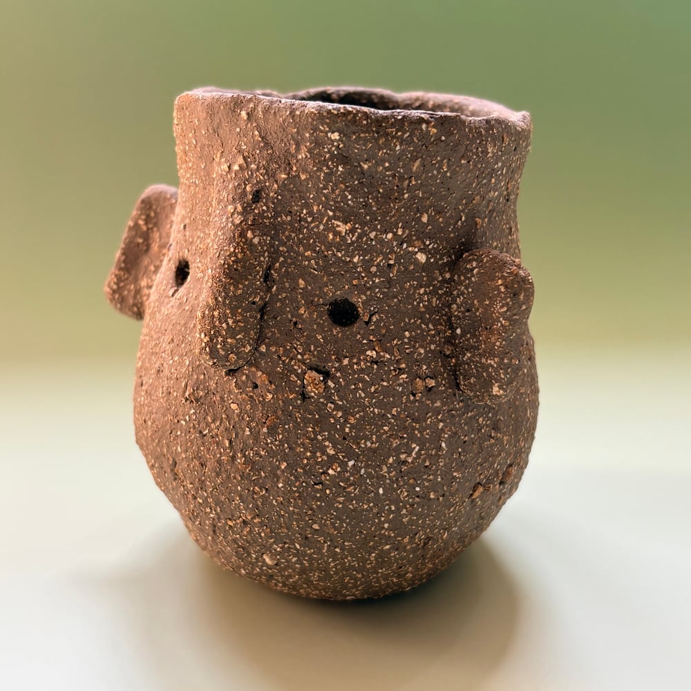 Image of Twin face pots
