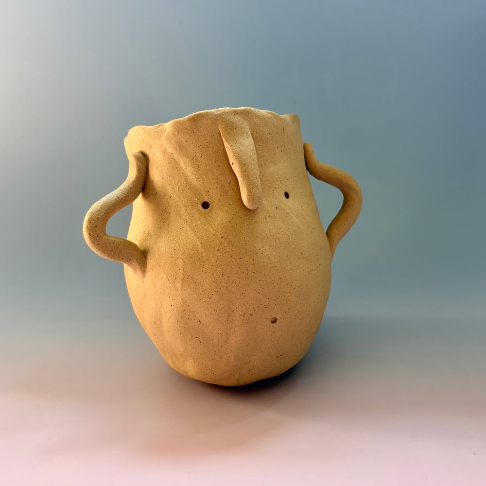 Image of Hula face pot