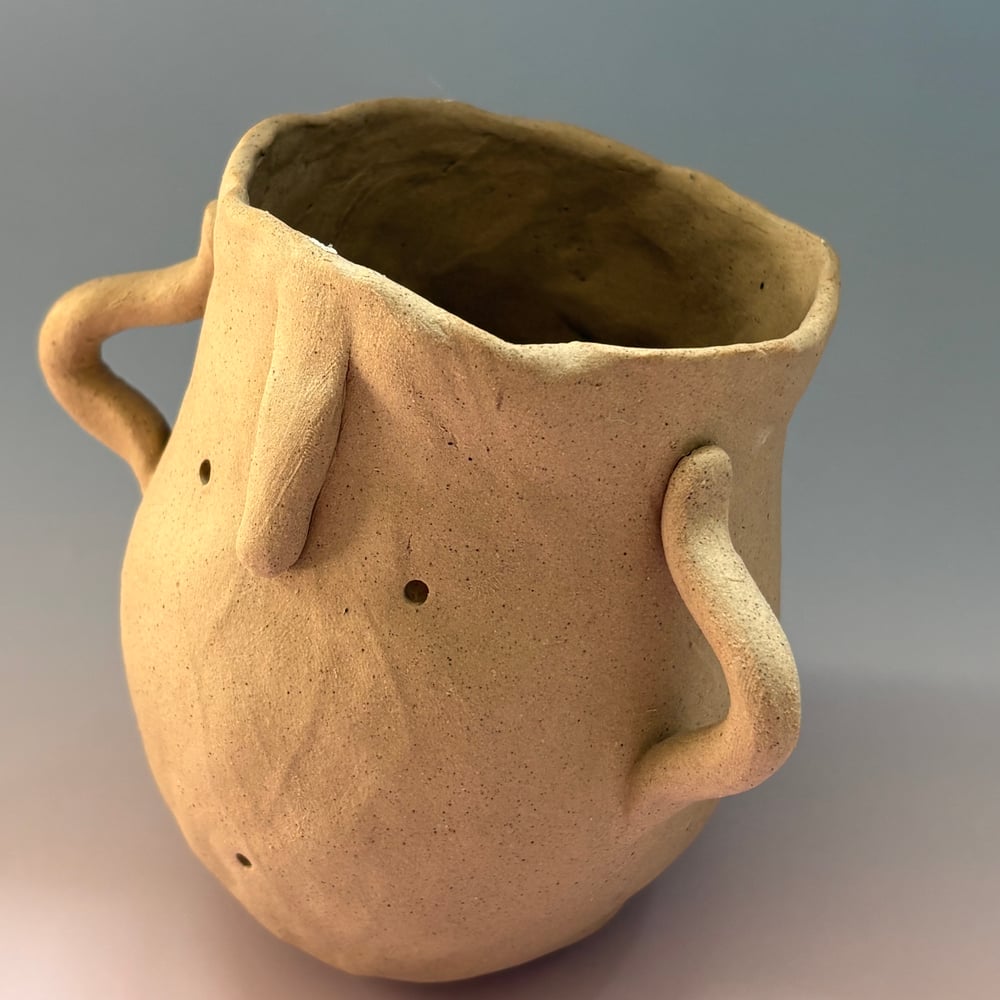 Image of Hula face pot