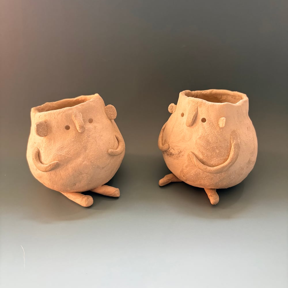 Image of Lazy People pots