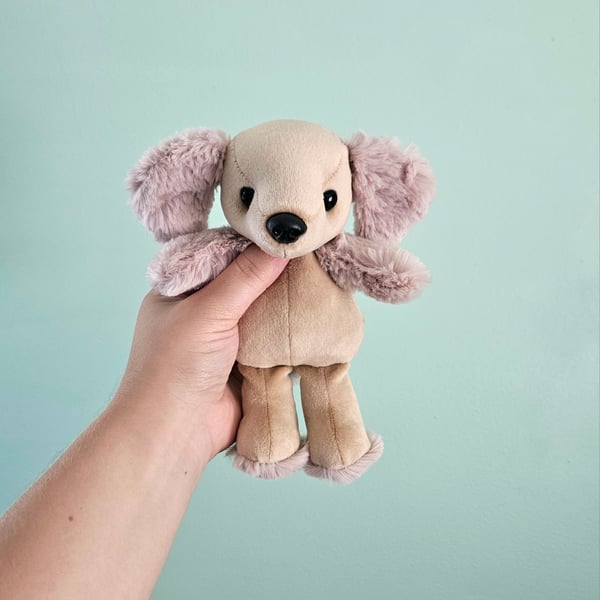 Image of Sunny Mini Poodle