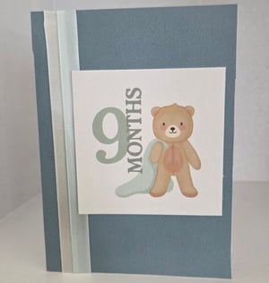 Image of Baby's First Year (Boy)
