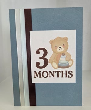 Image of Baby's First Year (Boy)