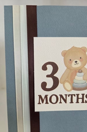 Image of Baby's First Year (Boy)