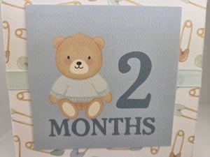 Image of Baby's First Year (Boy)