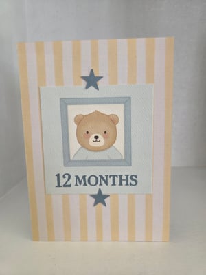 Image of Baby's First Year (Boy)