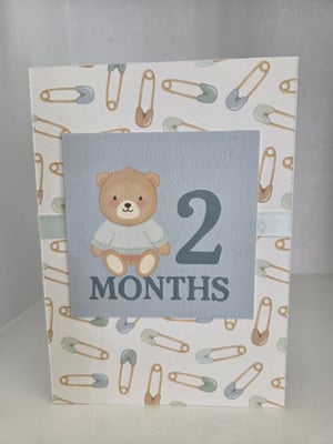 Image of Baby's First Year (Boy)