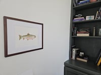Image 2 of Idaho Cutthroat Trout