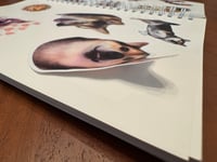 Image 3 of Sticker Book