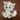 Nervous White Dog Sticker