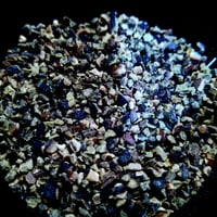 Image 2 of Kelp & Weed