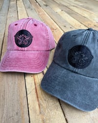 Image 1 of Moth Lake Records Moth Vinyl Embroidered Caps