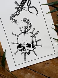 Image 3 of Confractus