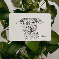 Image 4 of Little Masterpiece: Bespoke Pet Portrait Headshot (10x15cm)