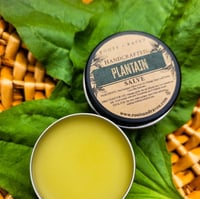 Plantain Salve