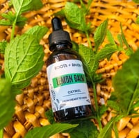 Lemon Balm Oxymel 