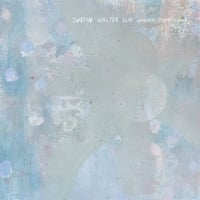 Image 1 of JUSTIN WALTER • BIRD HIGHER THAN CLOUD LP