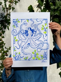 Image 1 of Poster Pieuvre & ajonc
