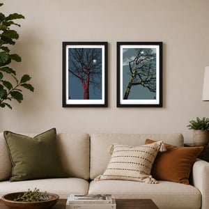 Image of Oak & Clouds