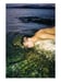 Image of (Ren Hang) (Athens Love)