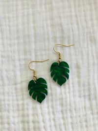 Image 1 of Motel Monstera