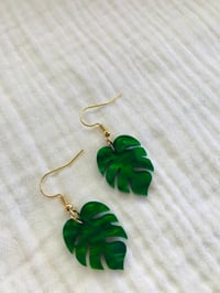 Image 2 of Motel Monstera