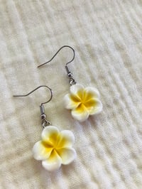 Image 9 of Aloha Plumeria