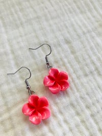 Image 11 of Aloha Plumeria