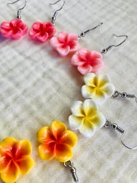Image 17 of Aloha Plumeria